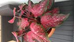 2021-06-26T12_17:46+02:00~2.JPEG