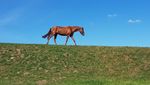 20210610_162849.jpg