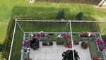 F1721AEA-5F68-4F80-81F5-E9904500D27A.jpeg