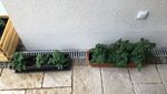 272616BD-611B-49B3-87B9-DE943E301538.jpeg