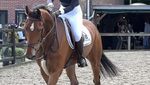 IMG_8968.jpeg