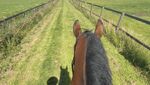 IMG_9101.jpeg