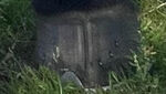 IMG_6805.jpeg