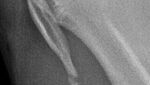 IMG_3978.jpeg
