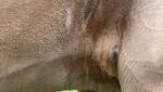 IMG_5383.jpeg