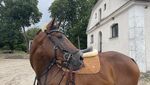 IMG_4792.jpeg