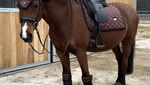 IMG_2695.jpeg