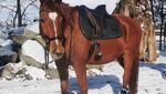 IMG_20250226_071039_compress38.jpg