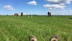IMG_2849.jpeg