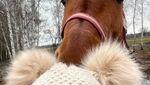 IMG_2896.jpeg