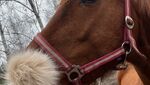 IMG_2900.jpeg