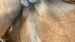 IMG_9322.jpeg