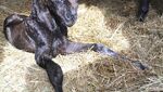 IMG_1737.jpeg