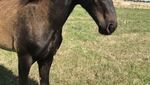 IMG_3920.jpeg