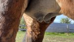 IMG_9448.jpeg