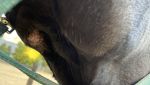 IMG_3262.jpeg