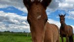 IMG_6849.jpeg