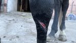 IMG_6874.jpeg