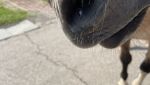 IMG_0272.jpeg
