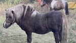 IMG_6302.jpeg