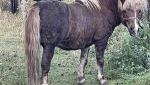 IMG_6303.jpeg