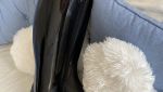 IMG_3784.jpeg