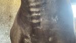IMG_4192.jpeg