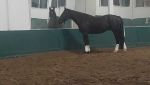 VideoCapture_20251001-124449.jpg