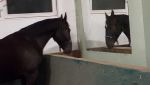 VideoCapture_20251001-124438.jpg
