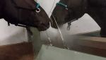 VideoCapture_20251001-124417.jpg