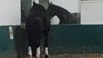 VideoCapture_20251001-124337.jpg