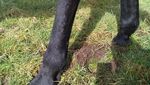 IMG_20210314_124540.jpg