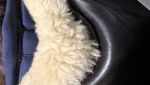 IMG_1089.jpeg