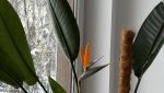 IMG_6446.jpeg