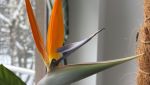 IMG_6441.jpeg