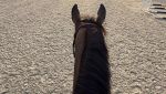 IMG_3871.jpeg