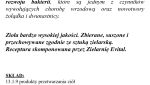 IMG_5277.jpeg