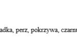 Zrzut ekranu 2026-01-23 113511.jpg