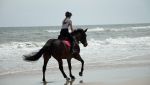 galop.jpg