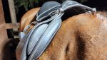 siodloz4.jpeg