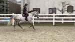 IMG_4278.jpeg