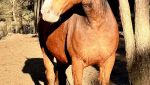 IMG_0592.jpeg