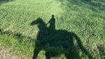 IMG_4762.jpeg