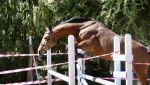 IMG_1691.jpeg