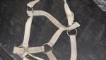 IMG_4397.jpeg