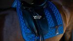 nb_monaco_blue_dressyr_full_5.jpg