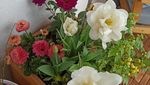 IMG_20210502_134938.jpg