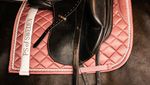 508_750a2f6c83-dsc_3654kopieren-original.jpg