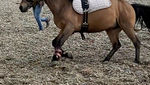 InShot_20211128_094253848.jpg