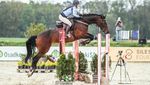 Nari CWD 2gs.jpg
